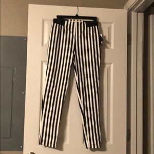 Target pinstripe pants